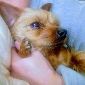 Meet your Posher, Bridget